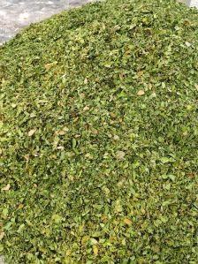 Moringa Dried Leaves