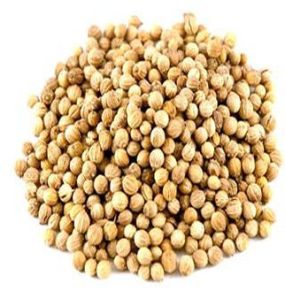 Coriander Seeds