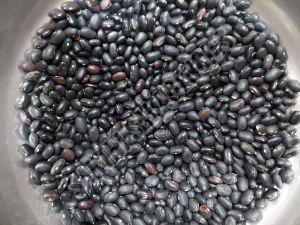 Black Matpe Beans