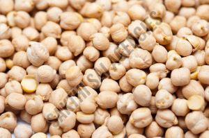 White Chickpeas