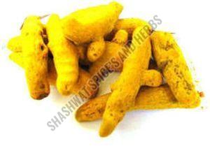 Erode Turmeric Finger