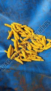 dried turmeric finger
