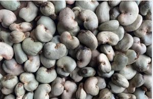 Cashewnut