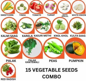 15 Vegetable Seeds Combo Pack