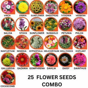 25 Flower Seeds Combo Pack