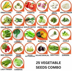 25 Vegetable Seeds Combo Pack