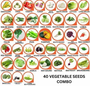 40 Vegetable Seeds Combo Pack