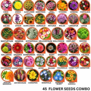 45 Flower Seeds Combo