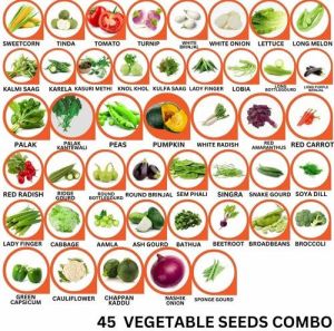 45 Vegetable Seeds Combo Pack