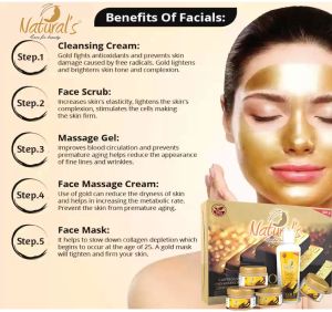 Naturals Care For Beauty Gold Facial Kit-325gm