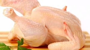 Frozen Chicken Meat