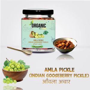 Organic Anand Indian Gooseberry Amla Pickle