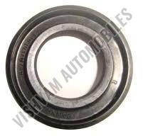 Oil Seal