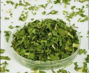 Dehydrated Coriander Leaf