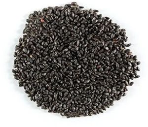 Basil Seeds