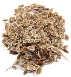 Patrani Brown Dil Seeds