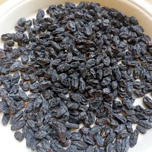 Seedless Black Afghan Raisins