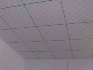 4 Mm PVC Laminated Cement Fiber Ceiling Tiles