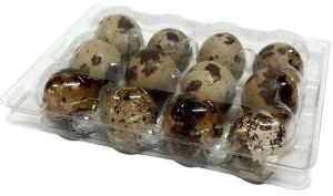 12 PP Egg Box