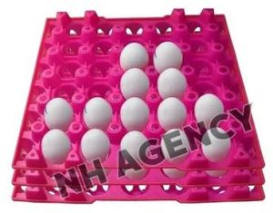 Pink Plastic Egg Tray