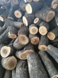 Babool Fire Wood Logs