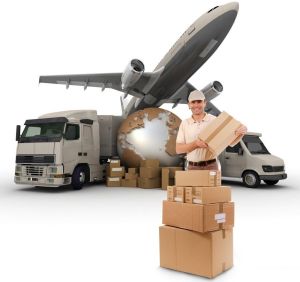 Domestic Cargo Services