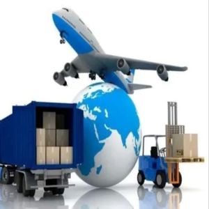 Same Day Cargo Delivery Services