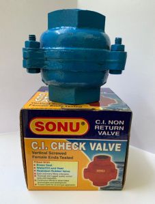 Cast Iron Boring Check Valve