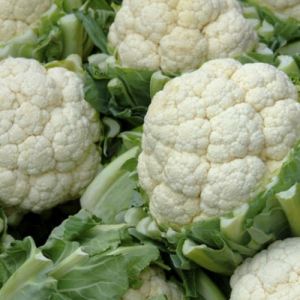 Fresh Cauliflower
