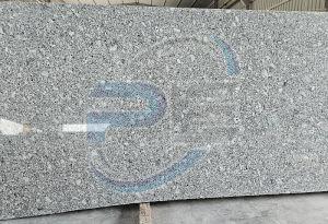 Coin Grey Granite Slab