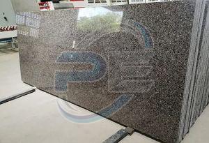 Desert Brown Granite Slab