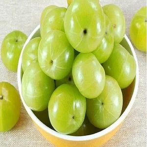 Premium A Grade Fresh Amla