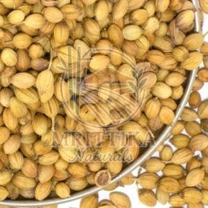 Coriander Seeds
