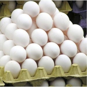 Farm Raised White Eggs