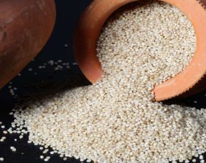 Organic Barnyard Millet