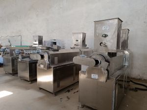 Fish Feed Plant