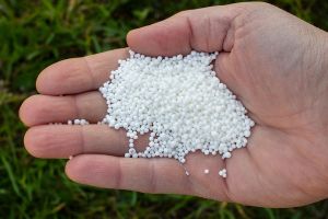 1Kg Calcium Nitrate Fertilizer