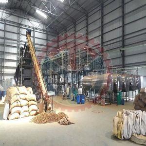 Bacopa Monneri Extraction Plant