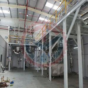 Blueberries Natural Color Extraction Plant