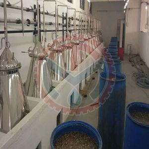 Coleus Forskohlii Extraction Plant