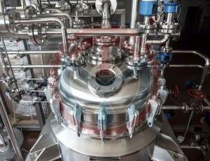 Cucumber Extraction Plant