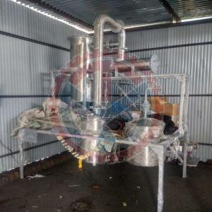 Daru Haldi Extract Plant