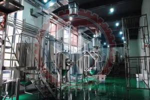 Ginkgo Biloba Extraction Plant