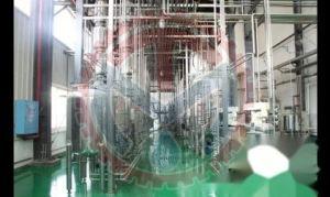 Ginseng Extraction Plant