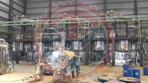 Glycyrrhiza Glabra Extract Plant