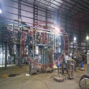 Green Coffee Bean Extract Plant