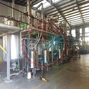 Hadjod Cissus Quadrangularis Extraction Plant