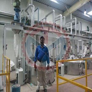 Indigo Natural Color Extraction Plant