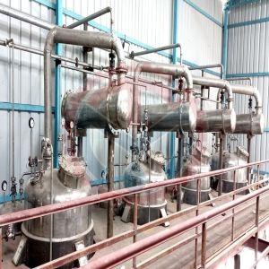 Jatamansi Herbal Extraction Plant