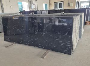 Fish Black Granite Slabs